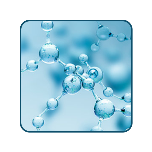 L-Arginine