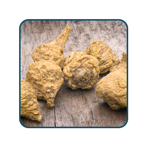 Peru Maca Root