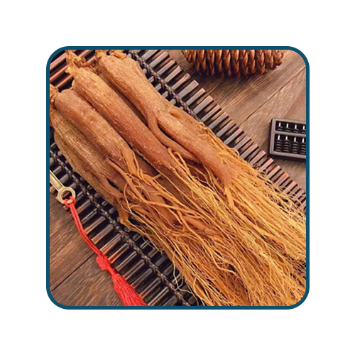 Korean Red Ginseng