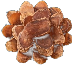 Red Ginseng