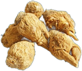 Maca
